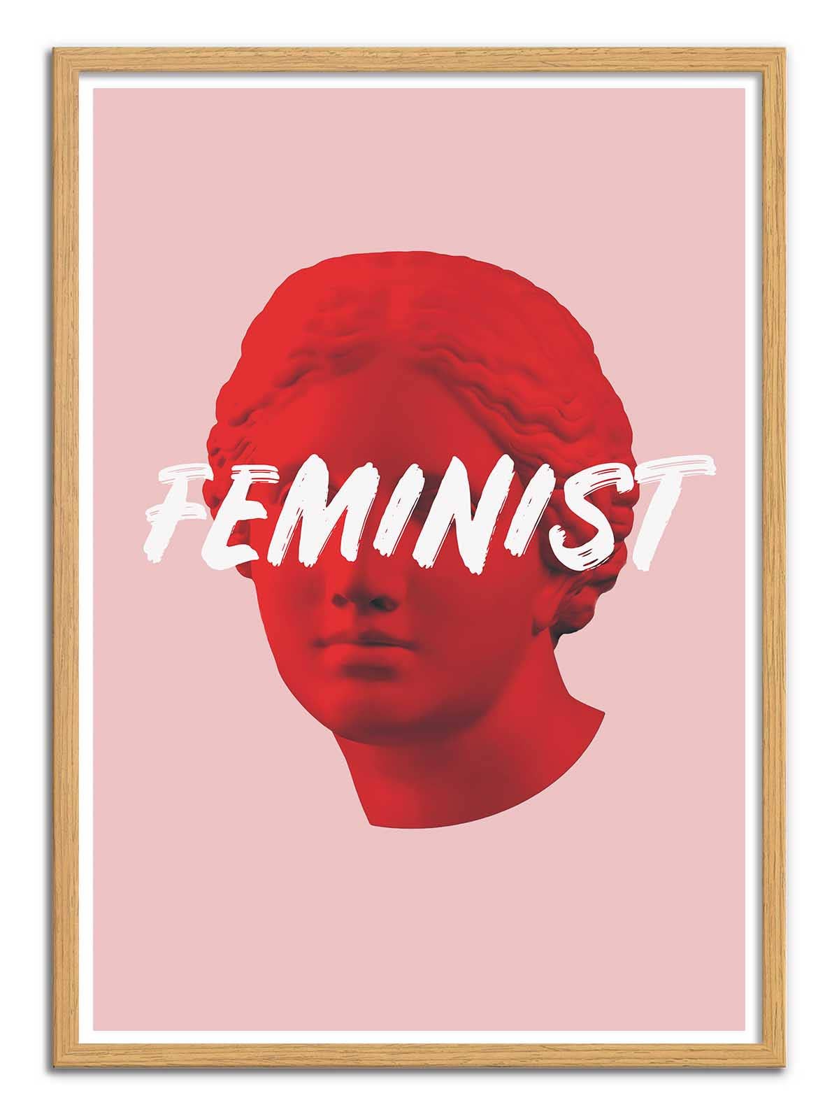 Venus Feminist Plakat