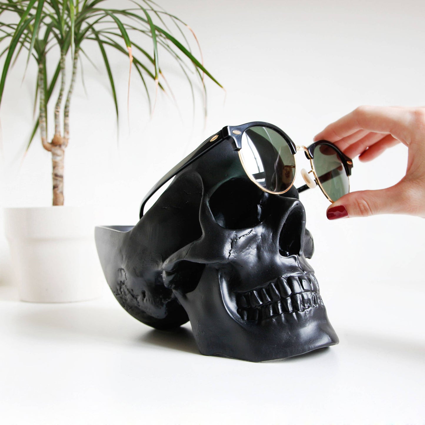 Tidy Scull Black